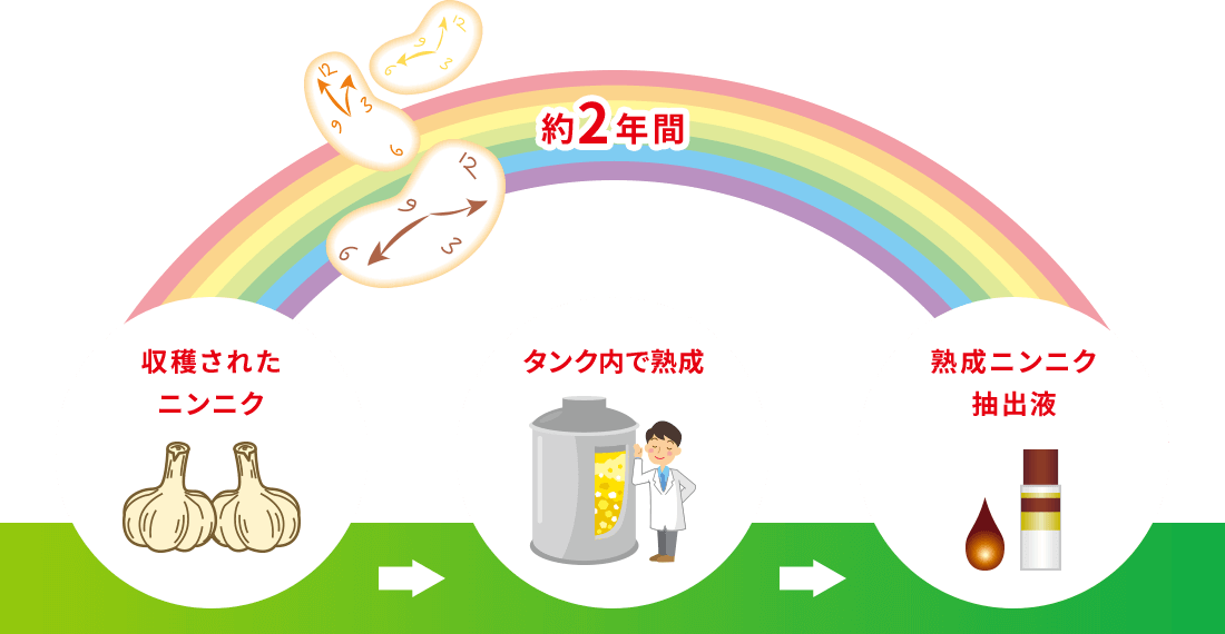 約2年間 収穫されたニンニク タンク内で熟成 熟成ニンニク抽出液