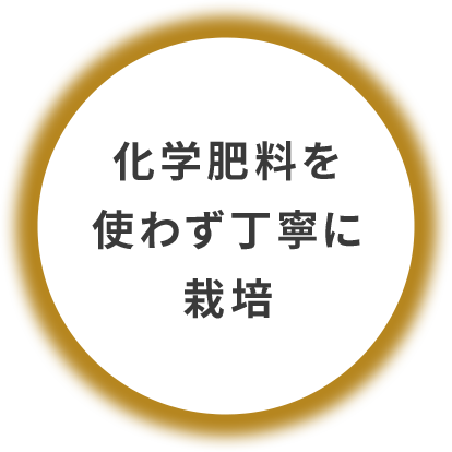 化学肥料を使わず丁寧に栽培