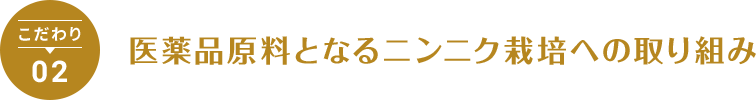 医薬品原料となるニンニク栽培からの取り組み