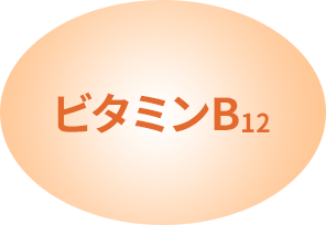 ビタミンB12