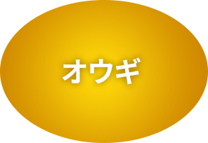 オウギ