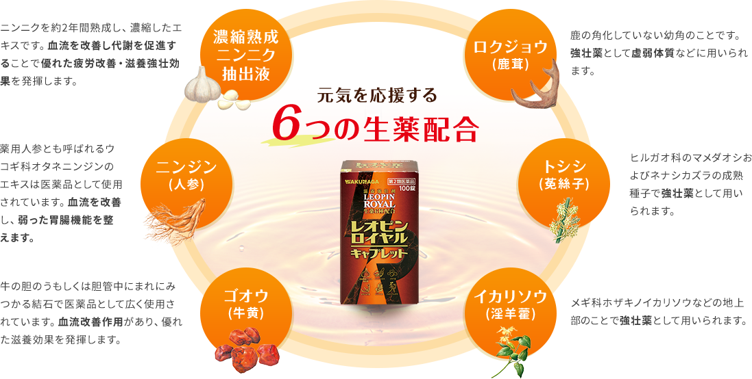 元気を応援する6つの生薬配合 濃縮熟成ニンニク抽出液 ニンジン（人参）ゴオウ（牛黄） ロクジョウ(鹿茸) トシシ(莬絲子) イカリソウ(淫羊藿)