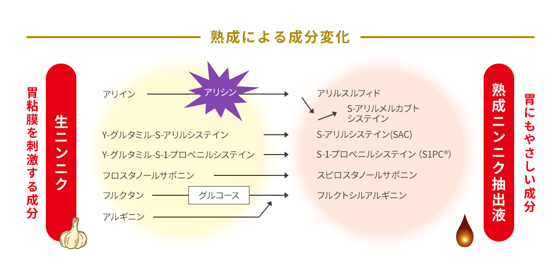 熟成による成分変化