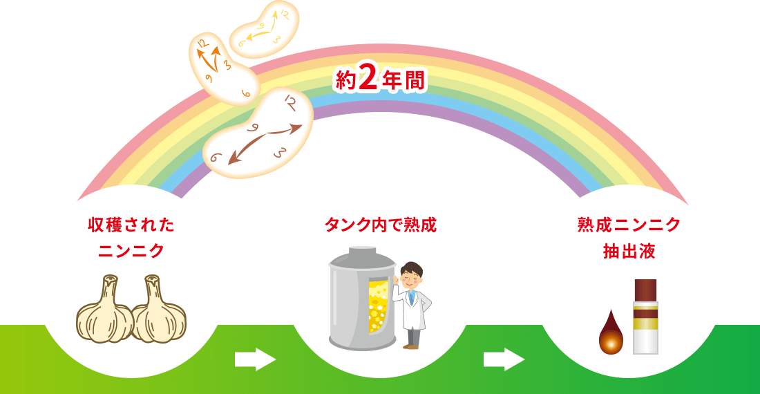 約2年間 収穫されたニンニク タンク内で熟成 熟成ニンニク抽出液